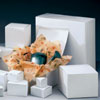 White Alligator Gift Boxes