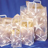 Starfish Gift Bags