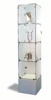 Glass Towers