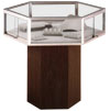 Jewelry Store Displays