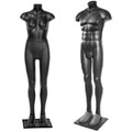 Modular Mannequin Alternatives