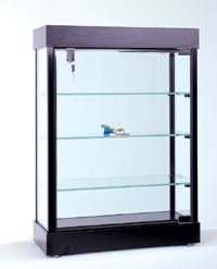 Gemini Presentation Countertop Display Case