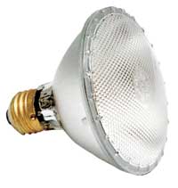 Capsylight PAR 38 Flood