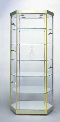 Hexagonal Stretch Display Case