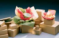Natural Kraft Folding Gift Boxes
