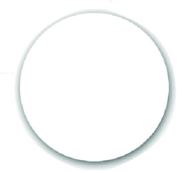 Self Adhesive Blank Label 1" Round