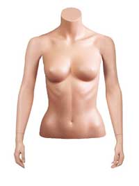 Female Bust with Arms by Side