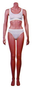 Female Headless Mannequin, Arms at Side