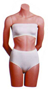 Female Torso, Arms Behind Back