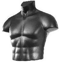 Greg - Full Men's Mannequin � Torso