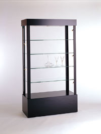 Open Rectangular Display Case