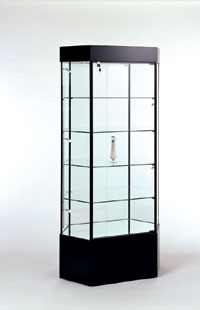 Stretched Hexagonal Tower Display Case