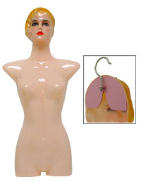 Female Plastic Torso with Head and Face-Fleshtone