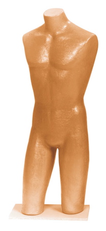 Form Men's Torso Painted Base