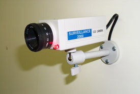 Simulated Camera Slimline