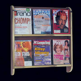 Magazine Rack - 2 Tier