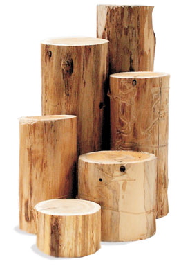 Cedar Riser Set of 6 Natural