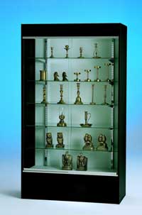 Wall Display Case