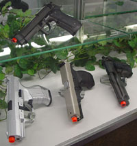 Pistol Display Rod