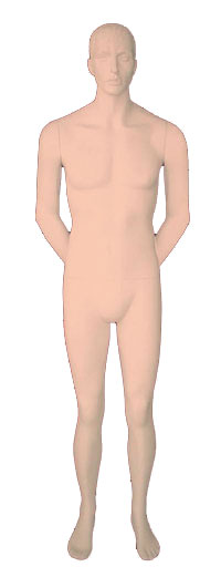 Fleshtone Sculptured Male Mannequin