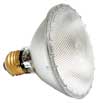 Capsylight PAR 38 Flood