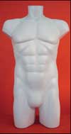 Zen Male Plus Size Plastic Torso - Qty 12