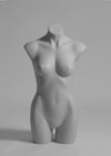 Zen Female Plastic Torso Form - Qty 24