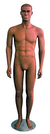Ethnic Male Mannequin