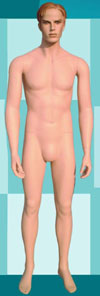 Jake Male Mannequin