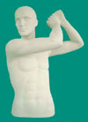 Value Priced Male Golf Torso Mannequin