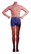 Male Headless Mannequin, Arms on Hips