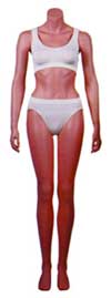 Female Headless Mannequin, Arms at Side