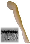Women's Single Leg Hosiery Form - Right Leg Bent
