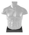 Greg - Full Men's Mannequin � Torso Base