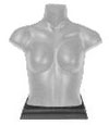 Gina - Full Women's Mannequin � Torso Base