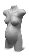 Half Round Maternity Display � slatwall Bracket - White