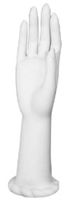 12" Women�s Right Hand Display Form � White