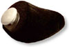 Women's Formaire with Black Foam Forepart