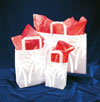 Palms Handle Gift Bags -16" x 6" x 12"