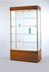 Alpha Rectangular Wall Display Case-Quick Ship