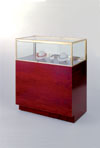 Quarter Vision Jewelry Display Case