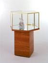Hexagonal Pedestal Display Case