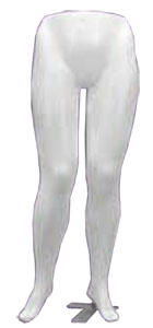 Plus Size Pant Form - White