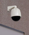 Simulated Indoor/Outdoor Security Dome