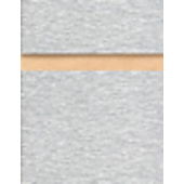 Simulated Brushed Aluminum Slatwall