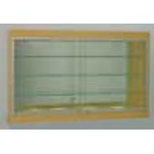 Upsilon Wall Mount Display Case