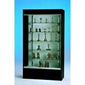 Wall Display Case