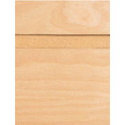 Birch Veneer Slatwall Panel